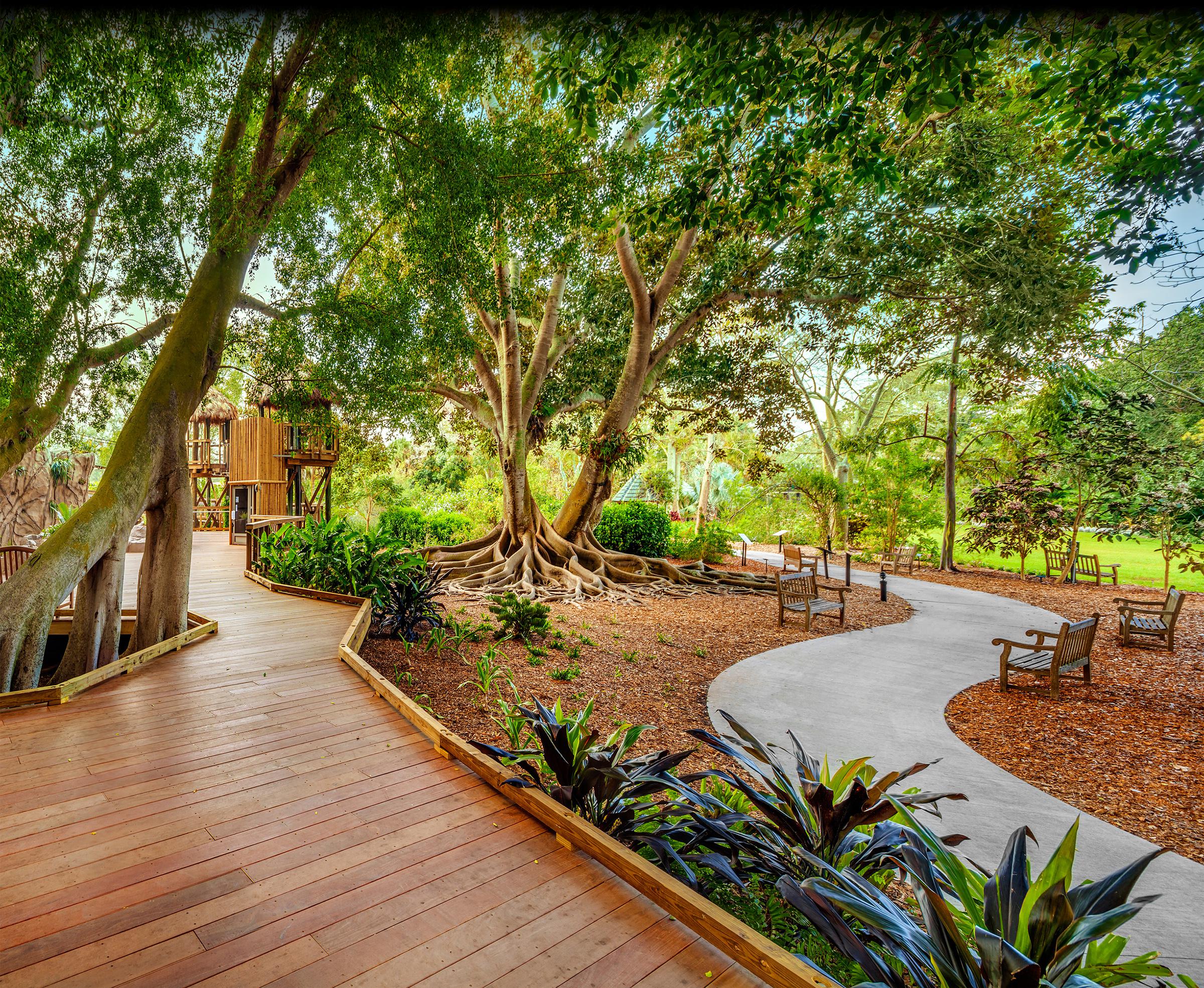 Ann Goldstein Children’s Rainforest At Marie Selby Botanical Gardens ...